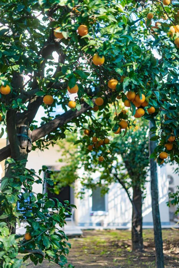 Pane E Marmellata Hotel Сант'Агнело Екстериор снимка