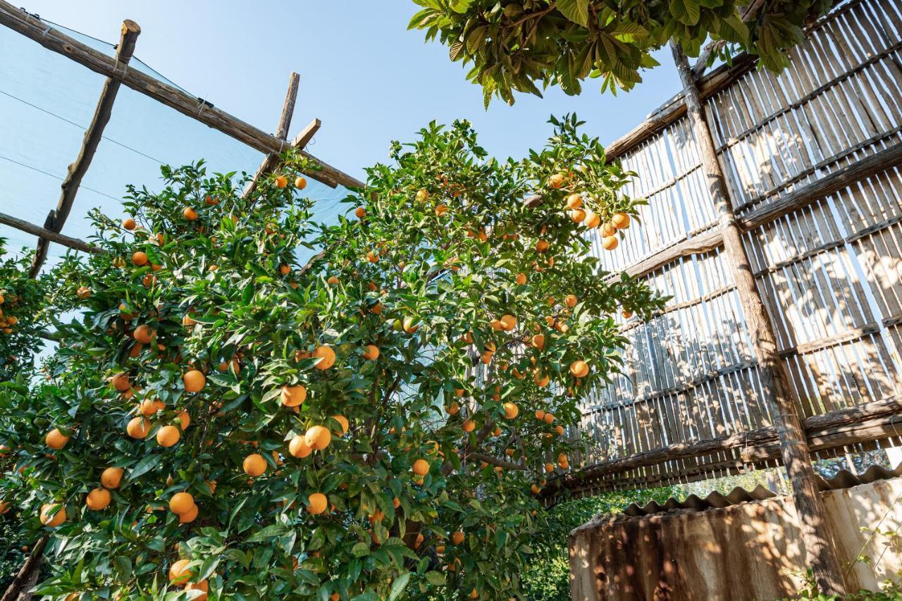 Pane E Marmellata Hotel Сант'Агнело Екстериор снимка