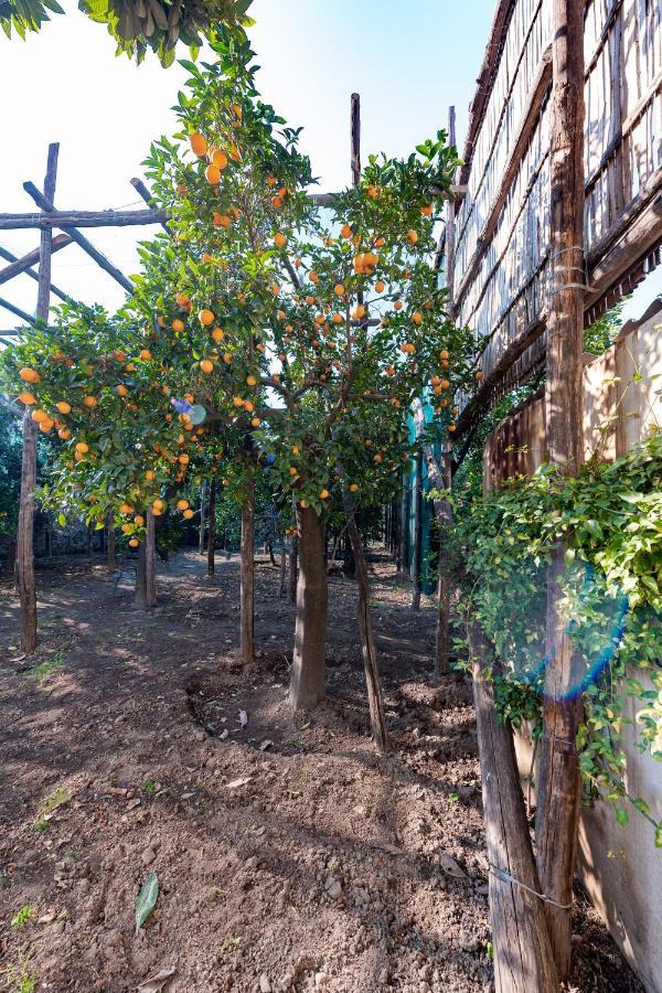 Pane E Marmellata Hotel Сант'Агнело Екстериор снимка
