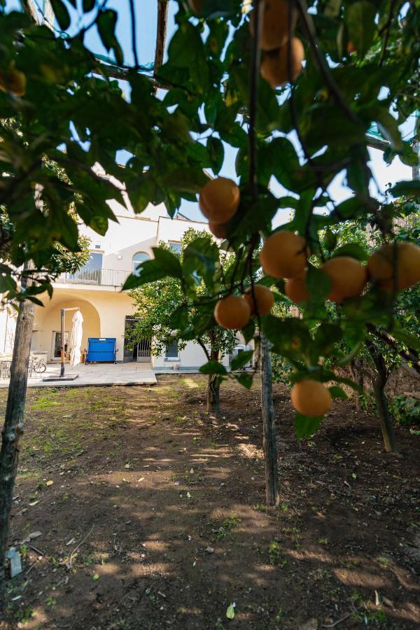 Pane E Marmellata Hotel Сант'Агнело Екстериор снимка